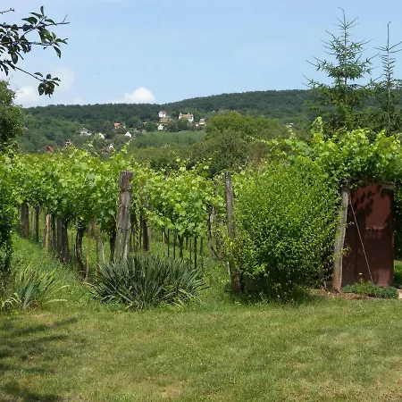 Holiday In Revfulop/balaton 33088 *